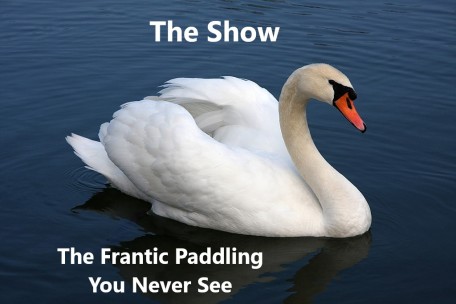 A serene swan on a lake. ABove the swan, it says "The Show." Below the swan, it says, "The Frantic Paddling You Never See."